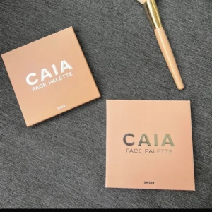 Caia palett - Bara testad och färgen är Sassy