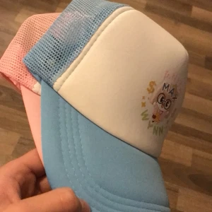 Anita Max wynn kepsar - Hej nu säljer jag dessa kepsar då jag aldrig använt dem, min kusin köpte de som ett skämt sen dess har de bara tagit upp plats  125 styck. Från hatstore. Ej kvitto