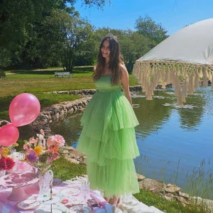 Fairy dress  - Bara använt den en gång på min födelsedag, säljer pga att jag inte har användning för den längre. Köpt för lite under 1000kr men säljer för billigare. Den är i bra skick och tror inte att den säljs längre:) Frakt ingår💚✨
