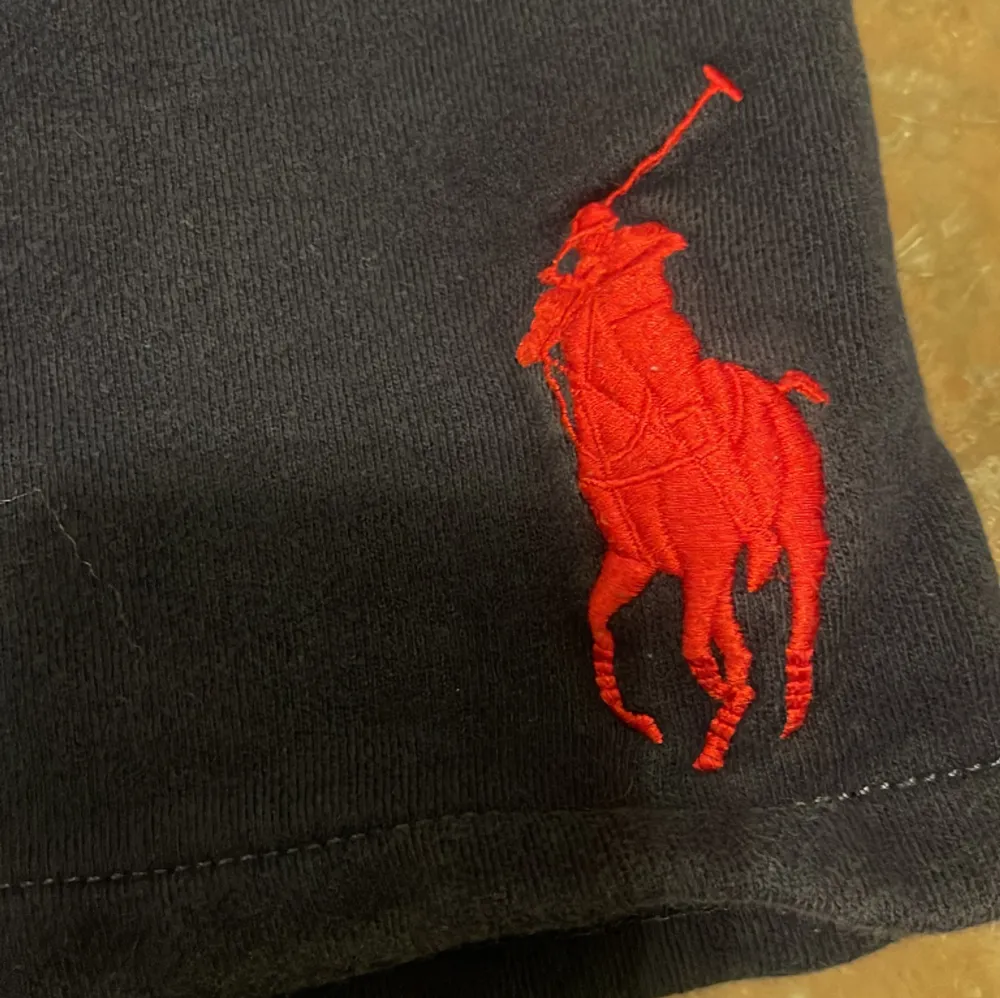 I sweatshirt material med stor häst 10-12 år fint skick . Shorts.