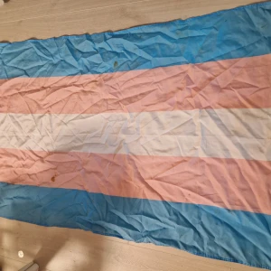 En stor trans flagga  - Bild på en flagga med blå, rosa och vita ränder. Flaggan är skrynklig och har några fläckar. Skulle säga runt 2 meter