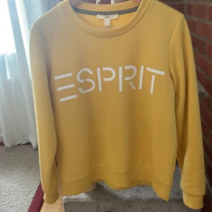 Collegetröja  - Snygg collegetröja i bra skick. Sparsamt använd 