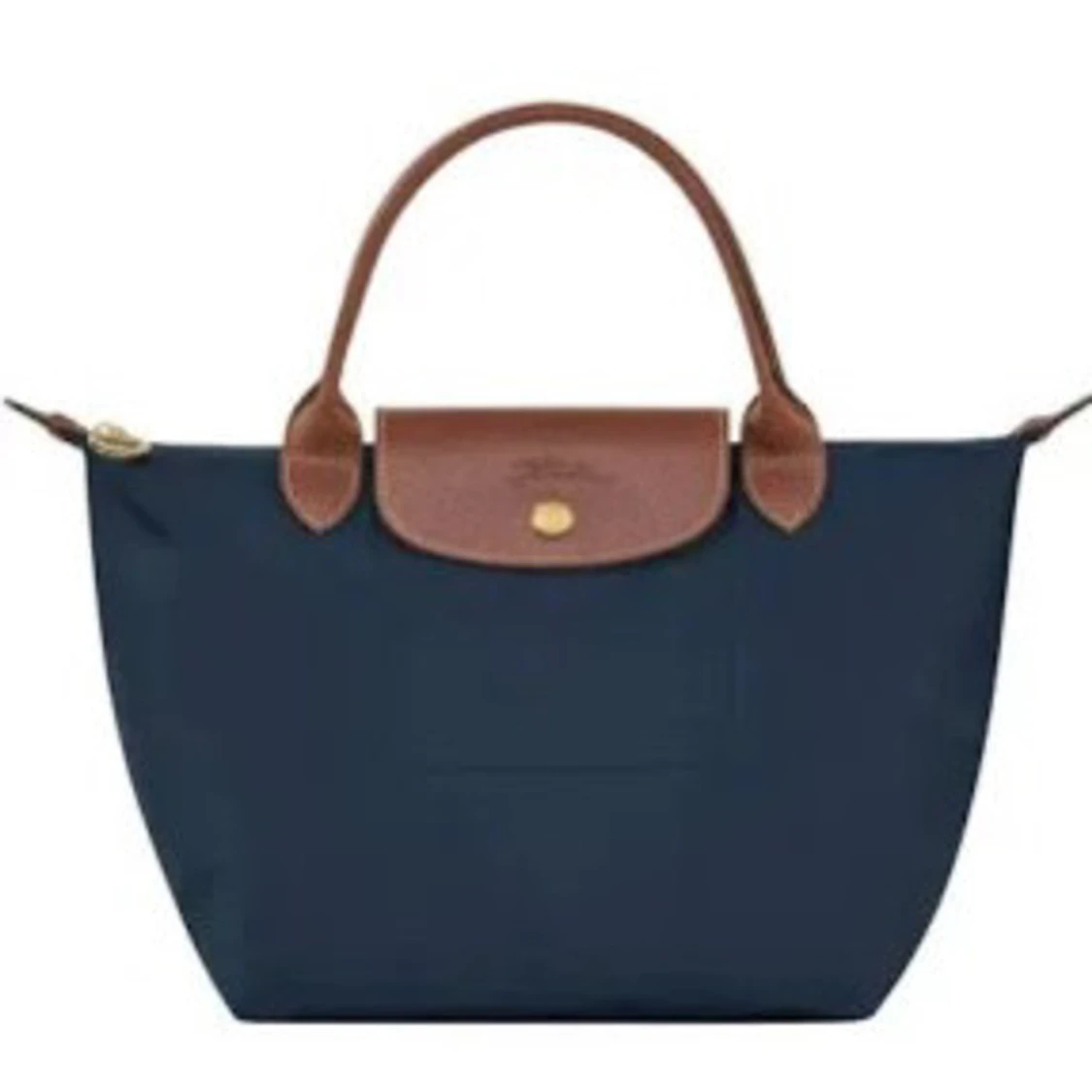 Longchamp bag