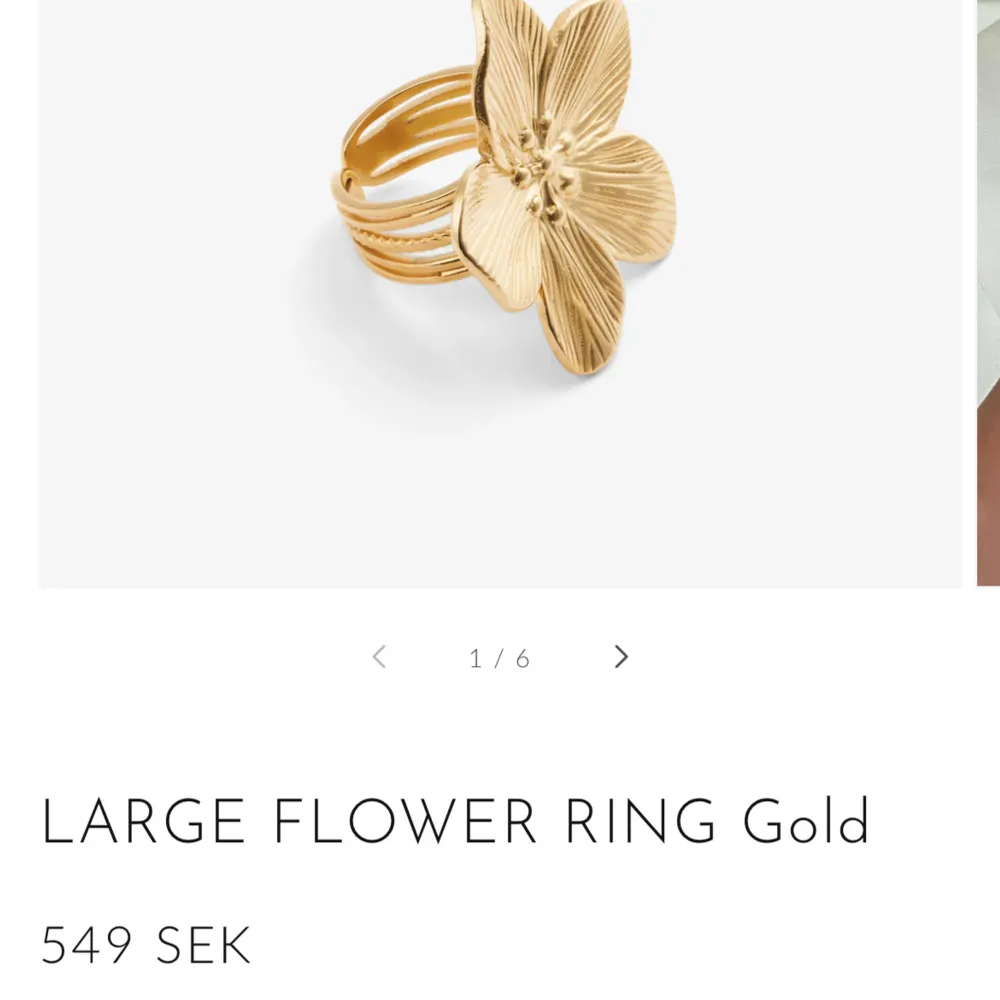 Örhängen+ring i form av blommor. Använda max 3 ggr och säljer då det var längesen de kom till användning . Båda för 149(Ringen är justerbar) Köparen står för frakten😊. Accessoarer.