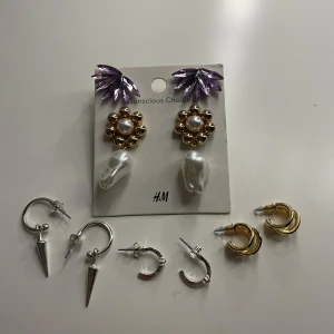 Olika örhängen - Säljer dessa fina örhängena! Blommorna är ifrån H&m, lila är ifrån glitter, dom är tror jag ör ifrån Gina. Helt oanvända allihopa!