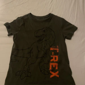 Grön T-Rex t-shirt - Cool grön t-shirt med en stor T-Rex-illustration och texten 'T-REX' i orange. Perfekt för dinosaurieälskare!
