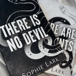 The sinners duet böcker - Båda böckerna i the sinners duet av Sophie Lark. Dark romance böcker med illustrationer, lästa en gång. 180kr för båda