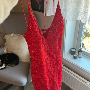 Röd spetsklänning från Oneness - Säljer en fantastisk röd klänning från Oneness i storlek XS. Klänningen är täckt av vacker spets och har paljettdetaljer som ger en extra touch. Den är ärmlös med smala axelband och en v-ringad design. Perfekt för en speciell kväll! ✨
