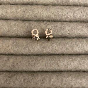 Örhängen - Ett par örhängen med kvinnotäknet på 