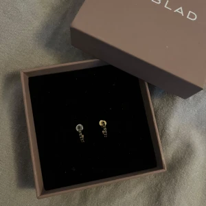 Guldörhängen från Edblad - Snygga små guldörhängen från Edblad. De har svarta detaljer. Jag har tappat bort original pluppen på ena örhänget så de är ersatt med ett annat. OBS! Asken ingår ej 