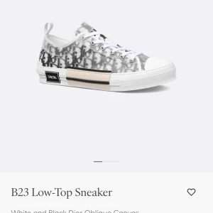 B23 Low-Top Sneaker - Stilrena B23 Low-Top sneakers från Dior i vitt och svart med det ikoniska Dior Oblique-mönstret. Skorna har en canvasöverdel med snörning och en vit gummisula med subtila detaljer. Perfekta för en trendig look.
