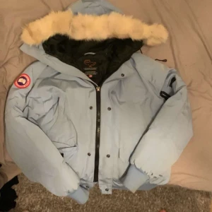 Canada goose - Sitter riktigt fett