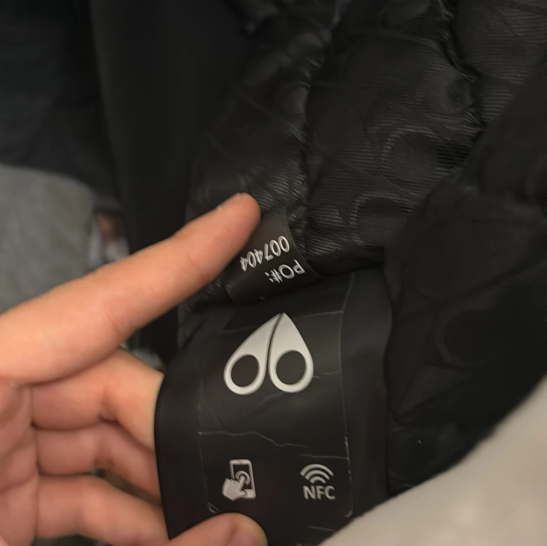 Moseknuckels bunnie - 92