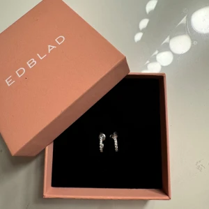 Edblad örhängen  - Säljer dessa örhängen ifrån Edblad som inte kommit till användning! 