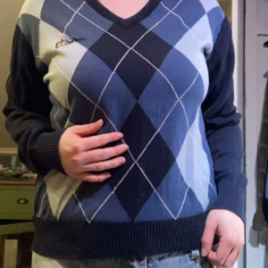 Blå rutig tröja med v-ringning - Säljer en blå tröja med v-ringning och rutigt mönster. Tröjan har långa ärmar och en broderad detalj på bröstet. 