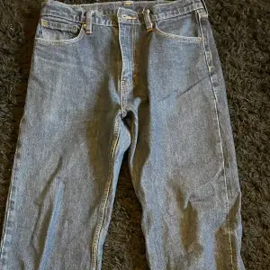 Klassiska blå jeans från Levi's med modellen”skate Baggy 5 pocket”. W31 L32