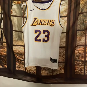 Vit basketlinne från Nike - Säljer ett vitt basketlinne från Nike med Lakers-logga och nummer 23 i lila och guld. Linne har ärmlös design och är perfekt för basketfans. Detaljerad med spelarnamn på baksidan.