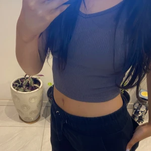 Grå ribbad croppad topp - Säljer en stilren grå ribbad croppad topp med korta ärmar och v-ringad hals. Perfekt för en avslappnad look.