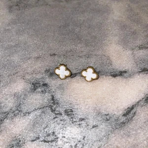 Örhängen  - Rostfritt stål helt nya