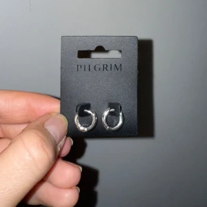 Silver örhängen från Pilgrim - Snygga enkla örhängen från Pilgrim som är helt oanvända☺️Äkta silver!!