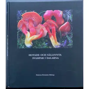 Boken ger en bred introduktion till svamparna i Dalarna och berättar om utforskandet ända från Linnés tid fram till idag. Ekologi, naturvård och naturskydd löper som en röd tråd genom hela boken som är vackert illustrerad med bilder på svampar och miljöer. 512 svamparter beskrivs utförligt i text och bild med särskild information om ekologi, kännetecken, utbredning och aktuell hotbild.    Format Häftad   Omfång 1088 sidor   Språk Svenska   Förlag Dalarnas Botaniska Sällskap   Utgivningsdatum 2024-02-09   Medverkande Janolof Hermansson   ISBN 9789152789148  