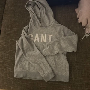 Grå hoodie från GANT - Säljer en snygg grå hoodie från GANT i bra skick. Den har en klassisk design med stor logga på framsidan och en bekväm huva. Perfekt för både höst och vår, och funkar lika bra till vardags som till träning. Storleken är inte specificerad men den ser ut att ha en normal passform. Vet inte storleken