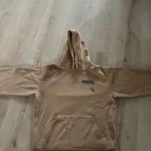 Carhartt hoddie - Säljer den tröjan för att jag inte tycker den passar mig. Säljs för 1200 på zalando