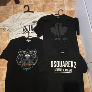 Säljer 11 tröjor  - Säljer 11 tröjor i olika märken och olika storlekar, inga hål i någon av tröjorna, pris kan diskuteras kan få alla för lågt pris 