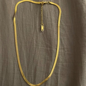 Halsband - Fint halsband andvänd få gånger, finns inga tecken av användning. Vattentålig(stainless steel)💕