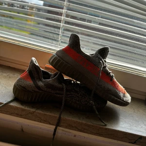 Yeezy  - Bra skick förutom att snöret är grönt på ena skon men annars perfekt 