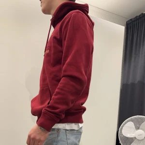 Röd gant hoodie - Snygg hoodie från gant. Har använts några få gånger (ca 10) och har växt ut. Killen på bilden är 184 och bär oftast L men tröjan är lite liten. Nypris 850 kr