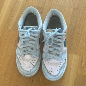 Nike dunk low storlek 38 - nike dunk low i storlek 38 båda skorna har fått hål inuti dem