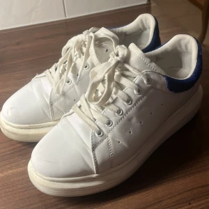 Alexander McQUEEN skor - Vita Alexander McQUEEN skor med blåa detaljer. Använda ungefär 5 gånger inga defekter Nypris -:5000