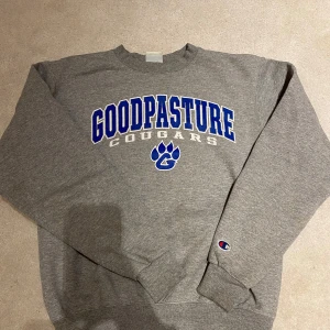 Champion tröja - Grå champion tröja med tryck. Väl använt men fortfarande i bra skick. Den har två små fläckar/prickar på ärmen (kan ses på sista bilden).   - 48cm axelbredd x 60cm längd (jag är 158cm) - Storlek S   Skriv i PM vid köp/frågor🫶