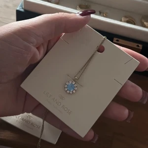 Halsband från Lily and Rose  - Perfekt present 💙