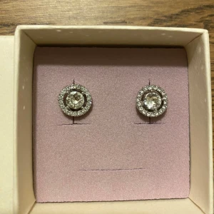 Örhängen Lily and Rose - Örhängen från Lily and Rose, ”Miss Miranda Earrings”. Använda ett fåtal gånger.