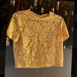 Tröja från Zara - Gul/beige ”genomskinlig” kortärmad tröja från Zara, använd ett fåtal gånger.