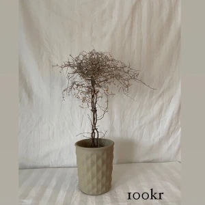 Kruka i beige 🤍 - Hej allihopa!✨ Vi är ett uf-företag som köper in inredningsdetaljer second hand för att göra om dom till en ny, modern produkt 🤍  Vi bidrar till en bättre miljö samtidigt som vi ger dig den där extra känslan i hemmet ✨🤍 frakt tillkommer.