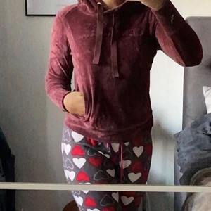 Champion hoodie i velour - använd endast 1-2 gånger, sälje pga utrensning av garderob