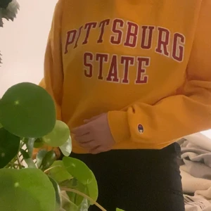 Champion sweatshirt  - En gula sweatshirt från champion med en fet text/tryck, kan ha på en kall sommar kväll mennäven på vinter, alla årstider helt enkelt