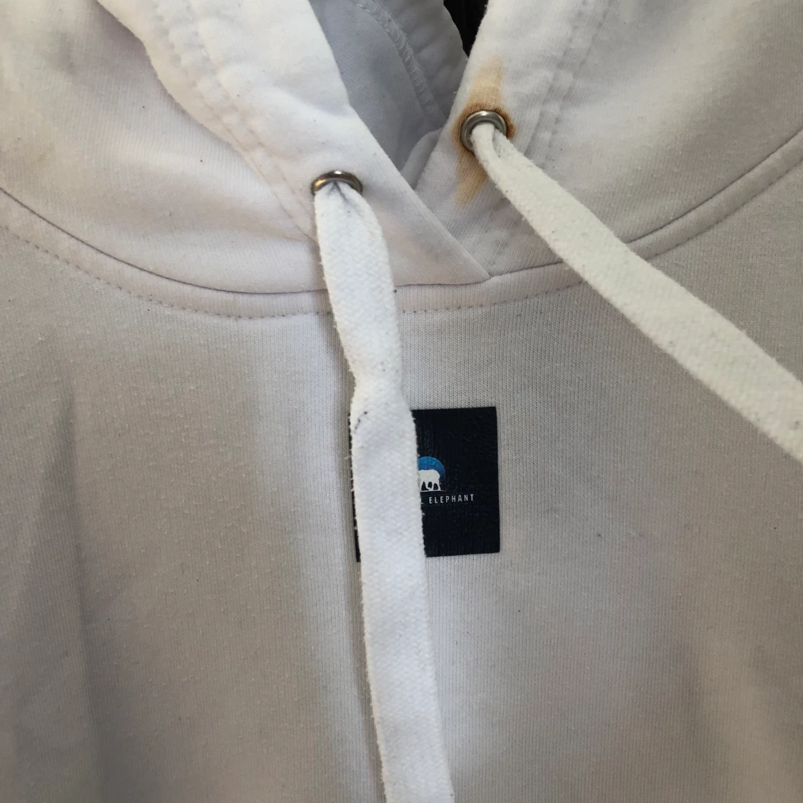 Curious The cool elephant - 91