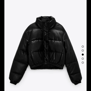 Dunjacka - En dunjacka man kan bära under vintertid. Använd en halv vinter. Helt slutsåld på zara. Jackan är i perfekt skick me inga repor eller hål i jackan. Nypris 559:- 