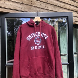 VINTAGE HOODIE - Vintage hoodie som knappt är använd. St L på etikett men sitter mer som Medium/mindre L. För fler frågor kom pm. Mvh, Max.