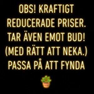 SKYNDA FYNDA! - SKYNDA FYNDA!