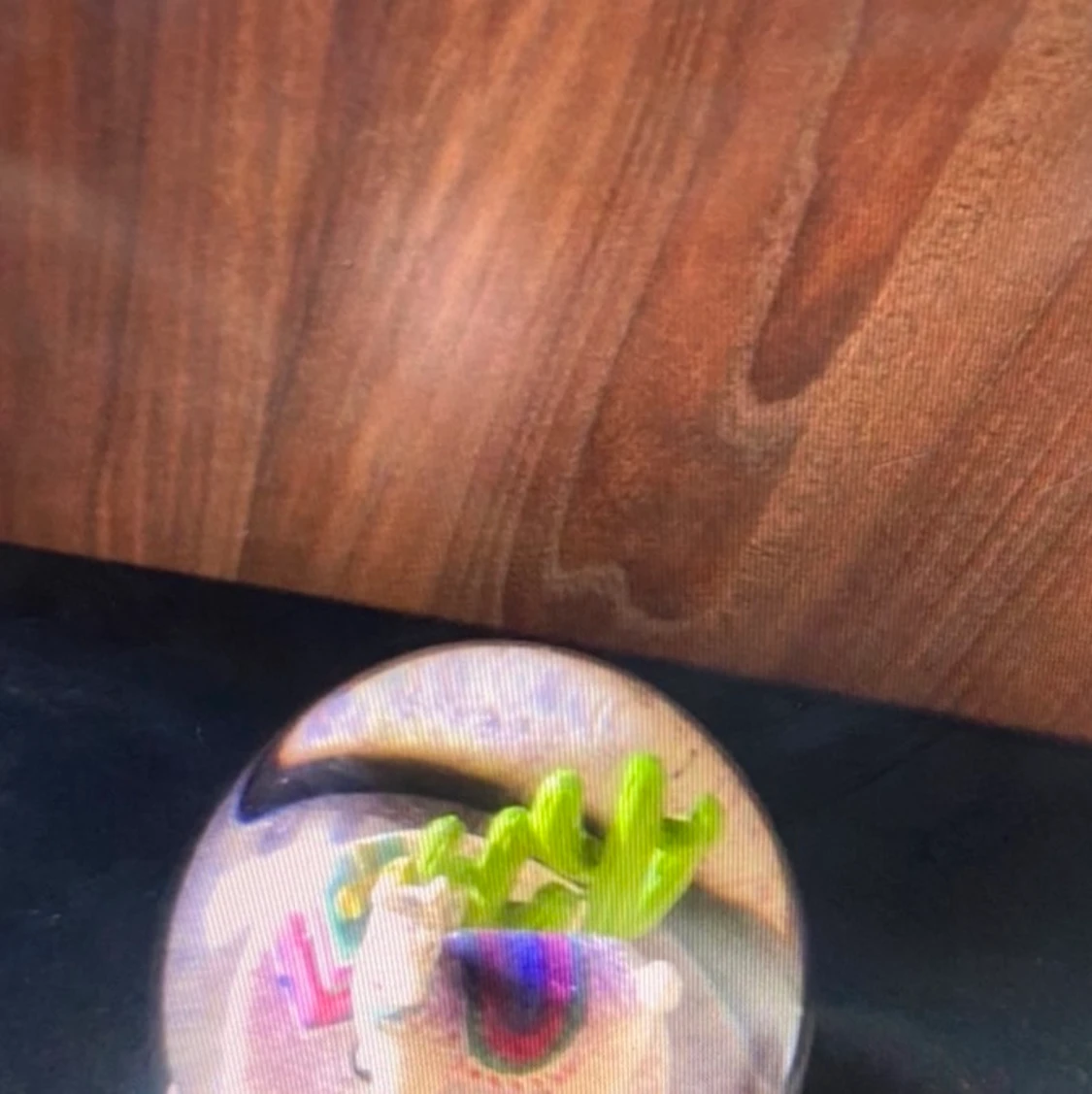 Glaskula kaktus 🌵 paket 📦 åsna  - 90