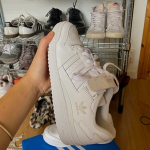 Adidas forum low  - Helt oanvända adidas forum.Säljer för behöver pengarna. Verkligen en perfekt sko, passar till allt och är jättesköna. Storlek 38 2/3.