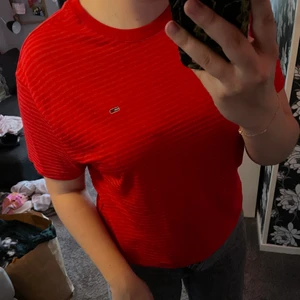 Tommy Hilfiger t-shirt i storlek L  - En helt oanvänd tröja från Tommy Hilfiger i storlek L, ganska säker på att det var en limeted edition när jag köpte den, det går alltså inte att få tag i den längre. Osäker på vad jag köpte den för men tror runt 500kr, jag säljer för 150kr + frakt. 