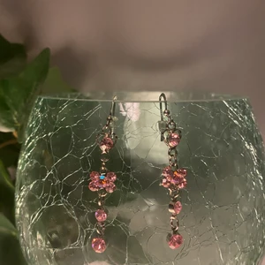 Örhängen  - Jättefina örhängen som aldrig kommit till användning. 49kr inkl frakt