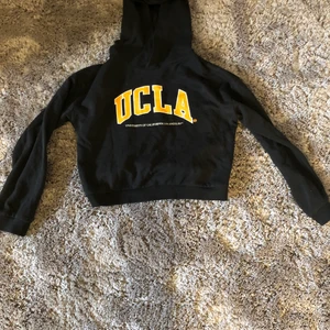 Hoodie - Storlek 146/152, änvänd få gånger, som ny skick skulle jag säga! Kostade 300kr