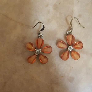 Örhängen  - Örhengen vanliga 